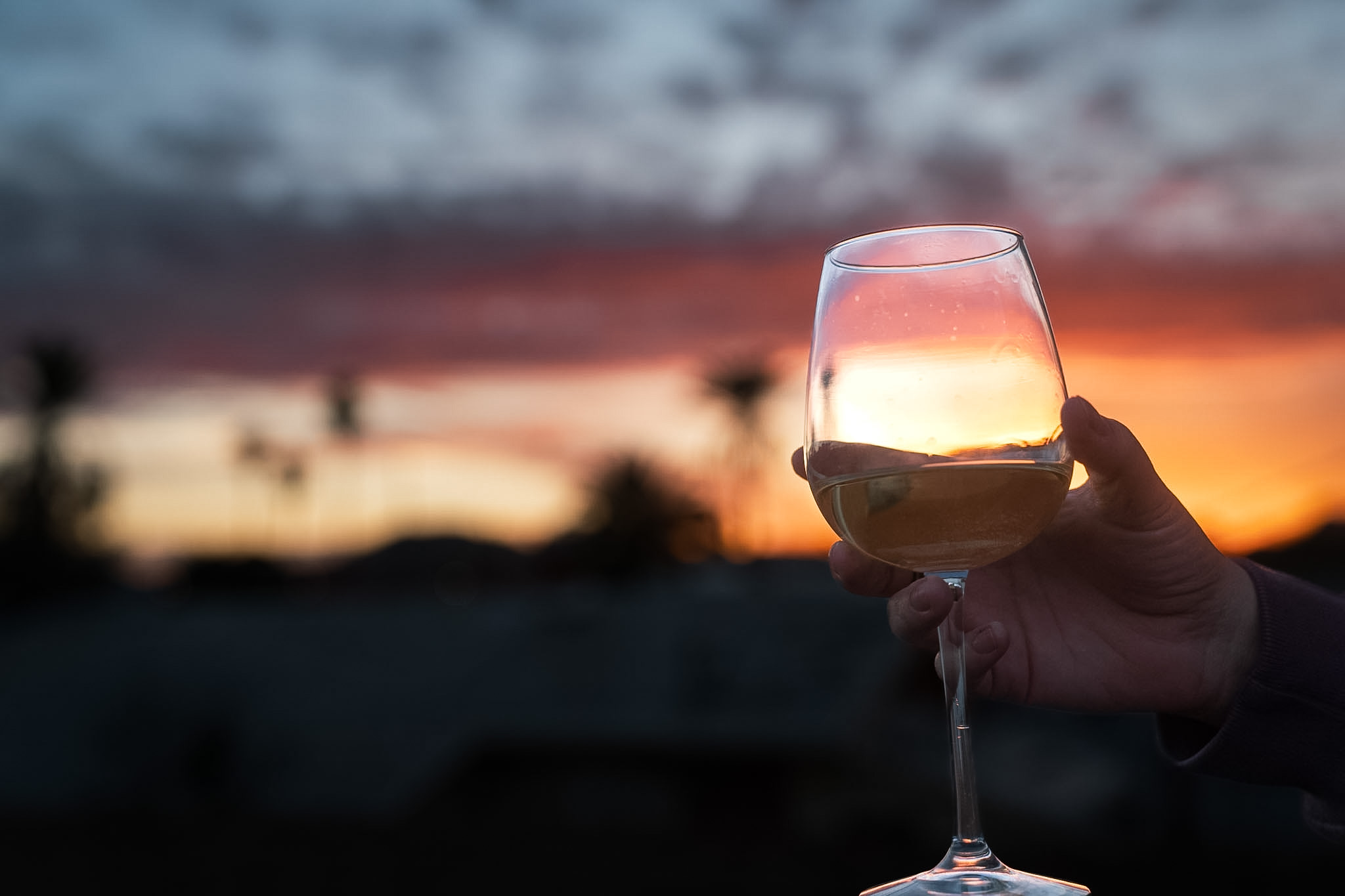 Wine glass at golden sunset